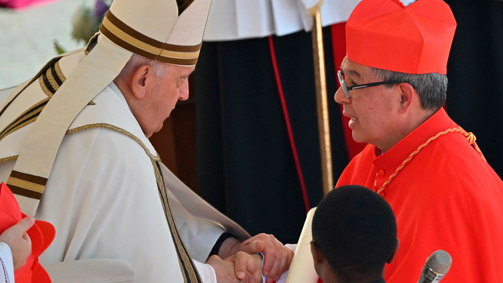 Dentro de los 21 nuevos cardenales, designados por el papa Francisco, se encuentra el arzobispo de Bogotá, Luis José Rueda Aparicio, oriundo de San Gil (Santander).