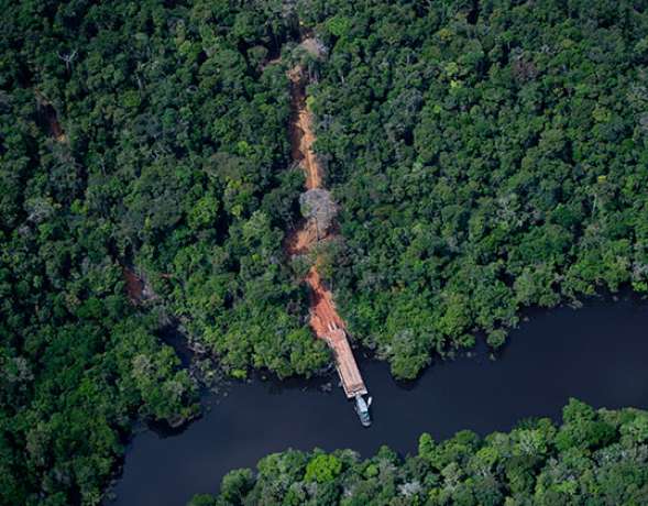 El Amazonas es llamado 'El pulmón del mundo', porque provee el 20% del oxígeno a todo el planeta tierra. / Foto: Archivo