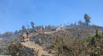 Más de 400 hectáreas afectadas  por las llamas./ Foto Cortesía