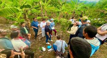 Campesinos de la región del Catatumbo impulsando la siembra del cacao/Foto Cortesía/La Opinión