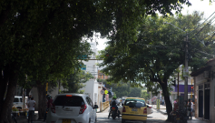 Sin visibilidad se encuentran los semáforos en Cúcuta por falta de poda de los árboles
